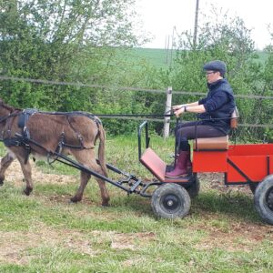 calèche pour personne en situation de handicap